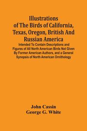 ksiazka tytu: Illustrations Of The Birds Of California, Texas, Oregon, British And Russian America. autor: Cassin John