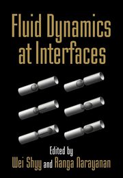 Fluid Dynamics at Interfaces, 