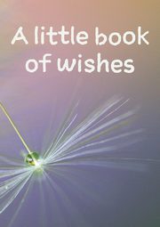 A little book of wishes, Ainslie Vivienne