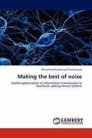 Making the Best of Noise, Kourkoulas Chondrorizos Alexandros