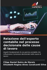 Relazione dell'esperto contabile nel processo decisionale delle cause di lavoro, Daniel Dutra de Morais Filipe