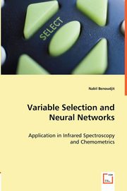 Variable Selection and Neural Networks, Benoudjit Nabil