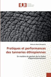 Pratiques et performances des tanneries thiopiennes, Mengesha Mekuria Abera