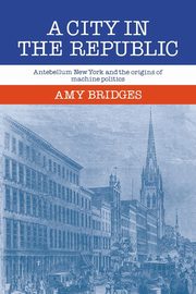 A City in the Republic, Bridges Amy