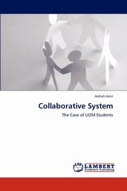 Collaborative System, Amir Aishah