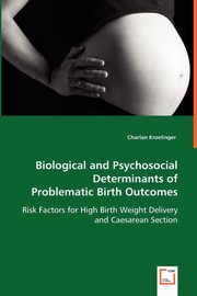 Biological and Psychosocial Determinants of Problematic Birth Outcomes, Kroelinger Charlan
