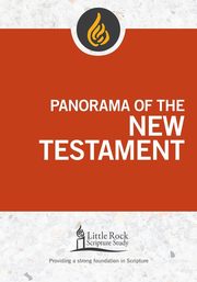 Panorama of the New Testament, Binz Stephen J