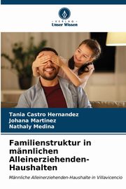 Familienstruktur in mnnlichen Alleinerziehenden-Haushalten, Castro Hernandez Tania