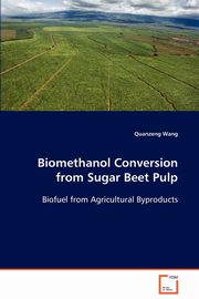 Biomethanol Conversion from Sugar Beet Pulp, Wang Quanzeng