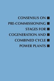 Consensus on Pre-Commissioning Stages for Cogeneration and Combined Cycle Power Plants, 