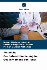 Weibliche Genitalverstmmelung im Gouvernement Beni-Suef, Hassan Hanan Elzeblawy