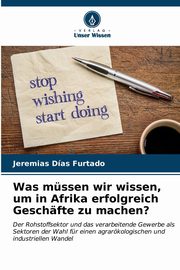 Was mssen wir wissen, um in Afrika erfolgreich Geschfte zu machen?, Dias Furtado Jeremias