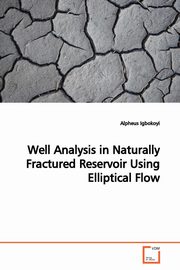 Well Analysis in Naturally Fractured Reservoir Using  Elliptical Flow, Igbokoyi Alpheus