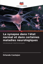 La synapse dans l'tat normal et dans certaines maladies neurologiques, Castejon Orlando
