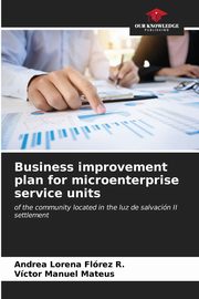 Business improvement plan for microenterprise service units, Flrez R. Andrea Lorena