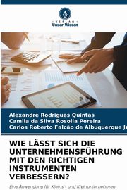 WIE LSST SICH DIE UNTERNEHMENSFHRUNG MIT DEN RICHTIGEN INSTRUMENTEN VERBESSERN?, Rodrigues Quintas Alexandre