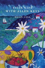 ksiazka tytu: Still Life with Allen Keys autor: Cole Brien