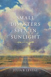 Small Disasters Seen in Sunlight, Levine Julia B.