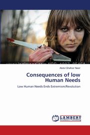 Consequences of low Human Needs, NASIR ABDUL GHAFOOR