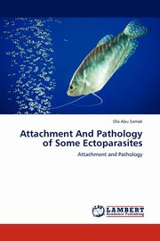 Attachment And Pathology of Some Ectoparasites, Abu Samak Ola