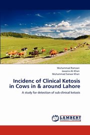 Incidenc of Clinical Ketosis in Cows in & around Lahore, Ramzan Muhammad