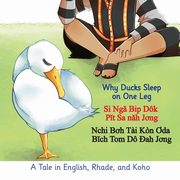 ksiazka tytu: Why Ducks Sleep on One Leg autor: 