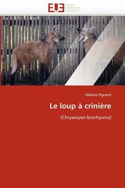 ksiazka tytu: Le loup ? crini?re autor: PIGNOREL-M