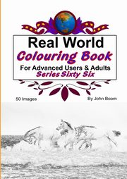 ksiazka tytu: Real World Colouring Books Series 66 autor: Boom John