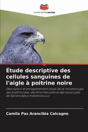 tude descriptive des cellules sanguines de l'aigle ? poitrine noire, Arancibia Calcagno Camila Paz