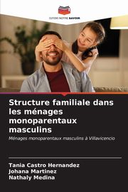 ksiazka tytu: Structure familiale dans les mnages monoparentaux masculins autor: Castro Hernandez Tania