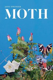 Moth, Springer Jane