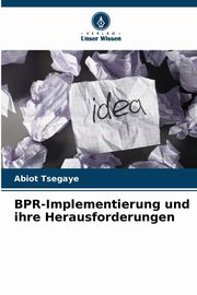 BPR-Implementierung und ihre Herausforderungen, Tsegaye Abiot