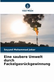 Eine saubere Umwelt durch Fackelgasrckgewinnung, Jokar Seyyed Mohammad