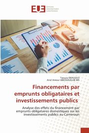 Financements par emprunts obligataires et investissements publics, DEFGOGO Taouza