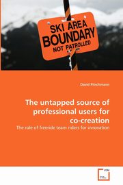 The untapped source of professional users for co-creation, Pitschmann David