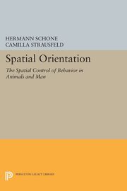 Spatial Orientation, Schone Hermann