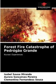 Forest Fire Catastrophe of Pedrg?o Grande, Miranda Isabel Sousa