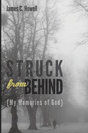 Struck from Behind, Howell James C.