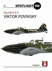 Ilyushin Il-2: 22 Spotlight On, Povinsky Viktor