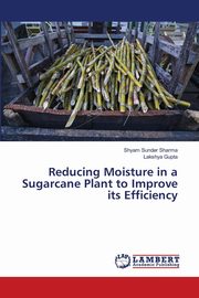 Reducing Moisture in a Sugarcane Plant to Improve its Efficiency, Sharma Shyam Sunder