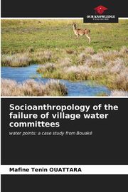 Socioanthropology of the failure of village water committees, OUATTARA Mafine Tenin