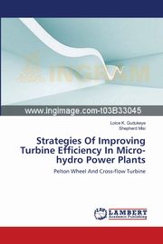 Strategies Of Improving Turbine Efficiency In Micro-hydro Power Plants, Gudukeya Loice K.