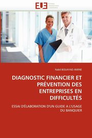 Diagnostic financier et prvention des entreprises en difficults, AMINE-N