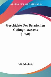 Geschichte Des Bernischen Gefangniswesens (1898), 