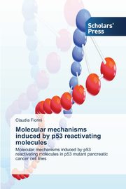 Molecular mechanisms induced by p53 reactivating molecules, Fiorini Claudia