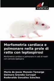 Morfometria cardiaca e polmonare nella prole di ratto con leptospirosi, Monzn Tamargo Mara de Jess