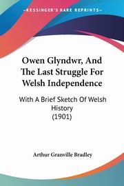 Owen Glyndwr, And The Last Struggle For Welsh Independence, Bradley Arthur Granville