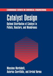 Catalyst Design, Morbidelli Massimo