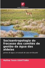 Socioantropologia do fracasso dos comits de gest?o da gua das aldeias, OUATTARA Mafine Tenin