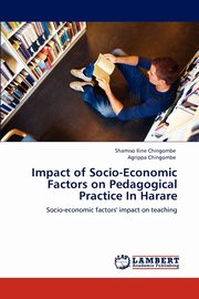 Impact of Socio-Economic Factors on Pedagogical Practice in Harare, Chingombe Shamiso Iline